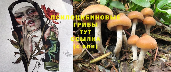 бошки Абдулино