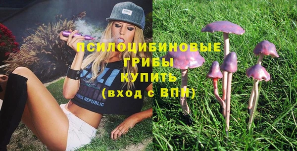 бошки Абдулино