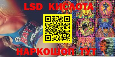 прущие грибы Тула