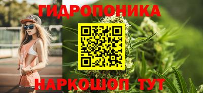 прущие грибы Тула