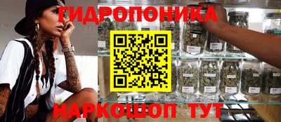 ГАЛЛЮЦИНОГЕННЫЕ ГРИБЫ Тулун
