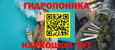 ГАЛЛЮЦИНОГЕННЫЕ ГРИБЫ Тулун