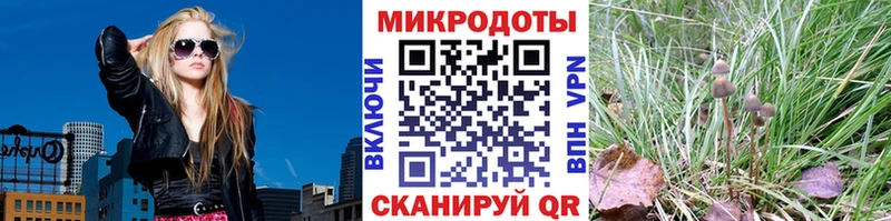 закладка Азнакаево Псилоцибиновые грибы Psilocybine cubensis