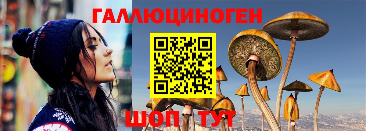 Псилоцибиновые грибы мицелий  Вход с VPN  Псилоцибиновые грибы Cubensis  Азнакаево 
